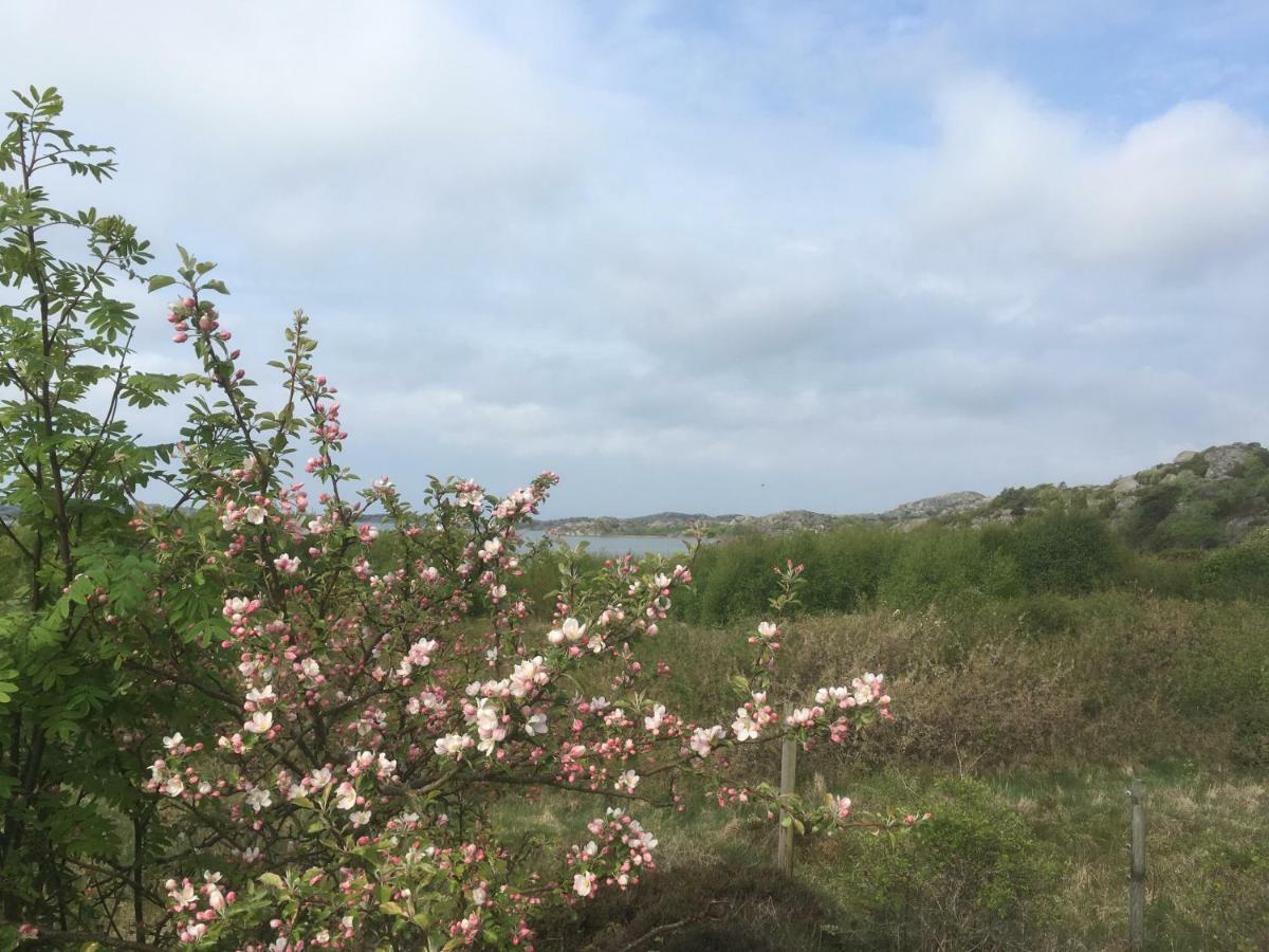 Stuga I Naturskoent Omrade Pa Vaestra Tjoern Saby Eksteriør bilde